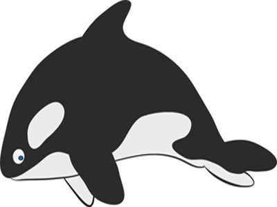 Orca.jpg
