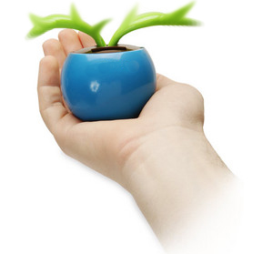 Prendaa ideia (6).jpg