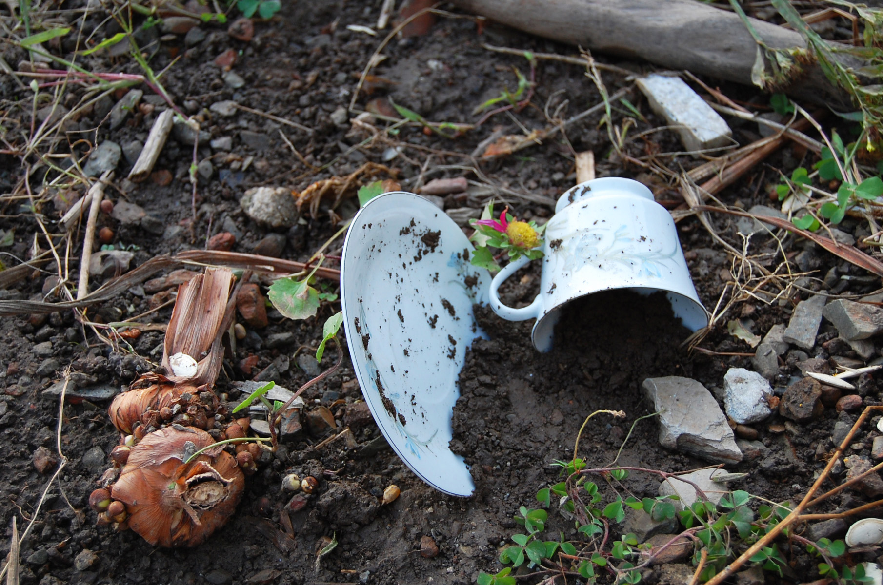 Afastamento 60387.jpg