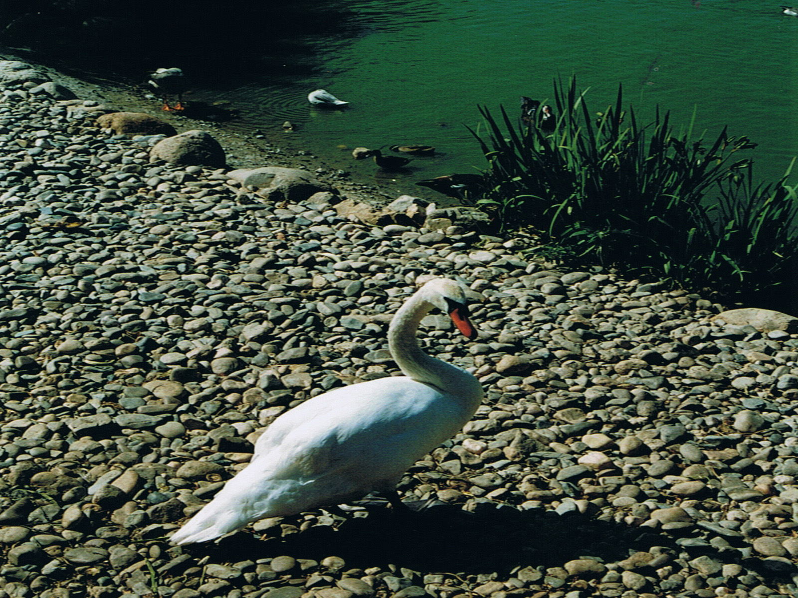 43384 todo unidade.jpg