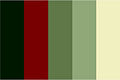 Colour pallette reduzido.jpg