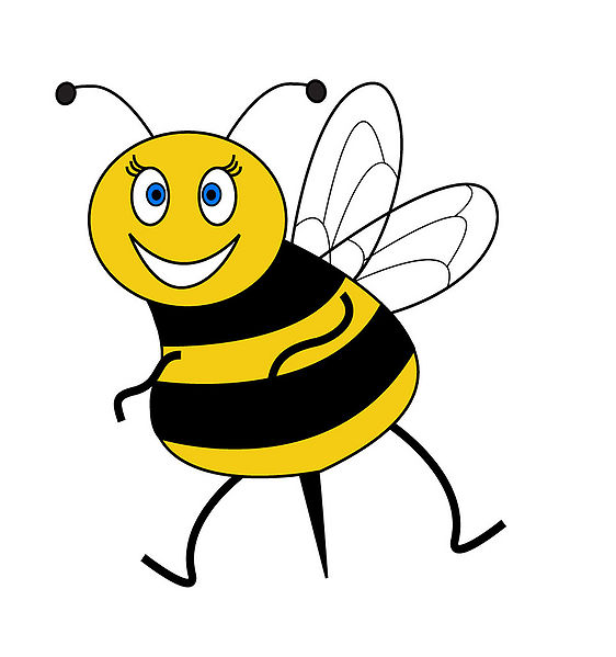 File:Bia lateral.jpg