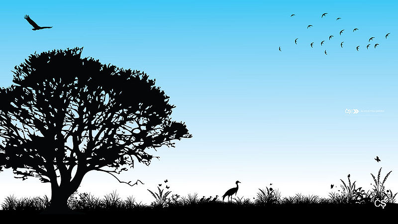 File:Silhouettes garden HD by carlossaraivadesign.jpg