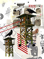 Australian-gq width 530.jpg