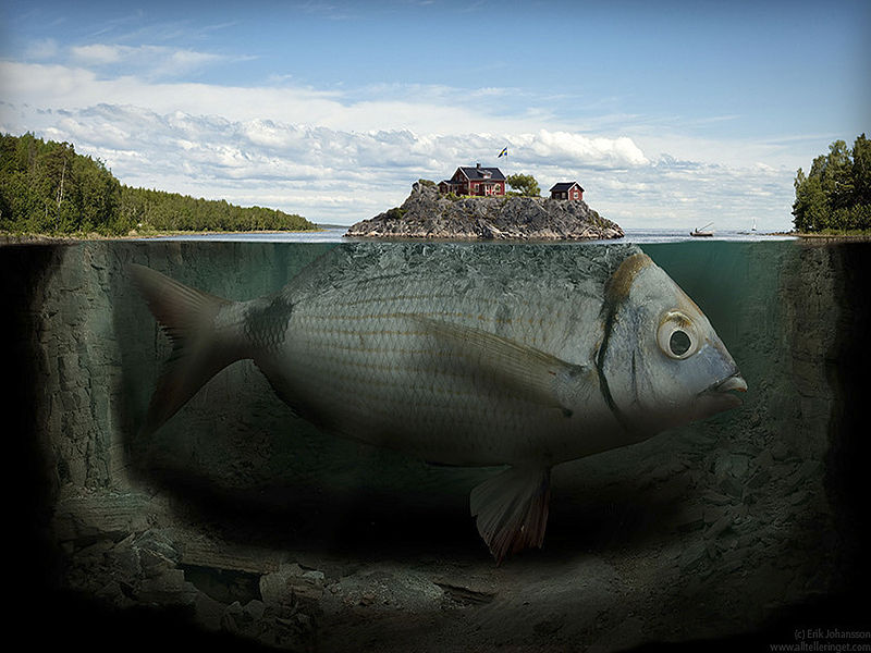 File:Fishy Island.jpg