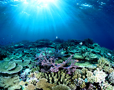 The-Great-Barrier-Reef-13.jpeg