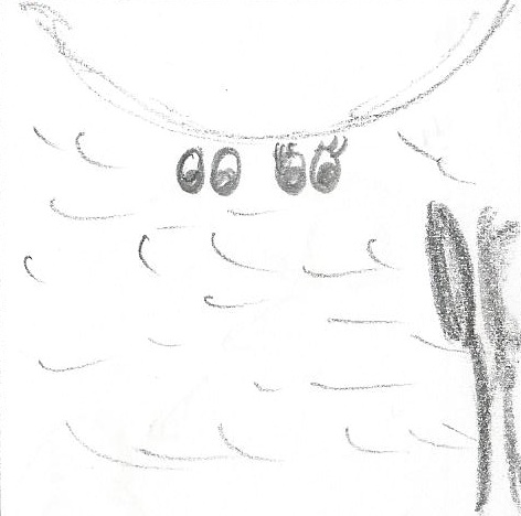 Ficheiro:Imagem 7.jpg