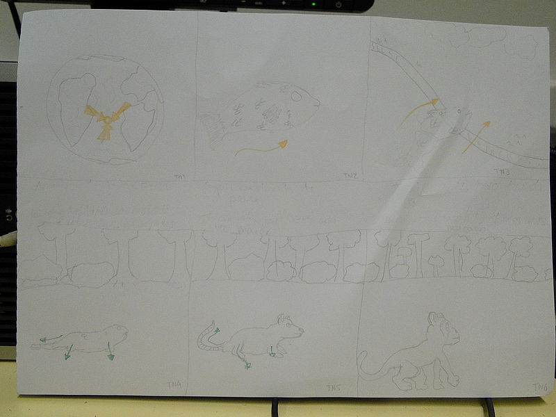 Ficheiro:TN evolution1.JPG