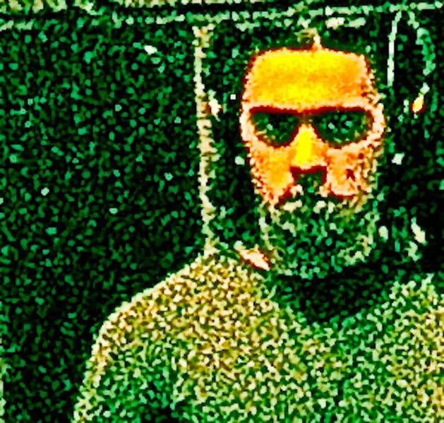 Ficheiro:Perfil vitor.jpg