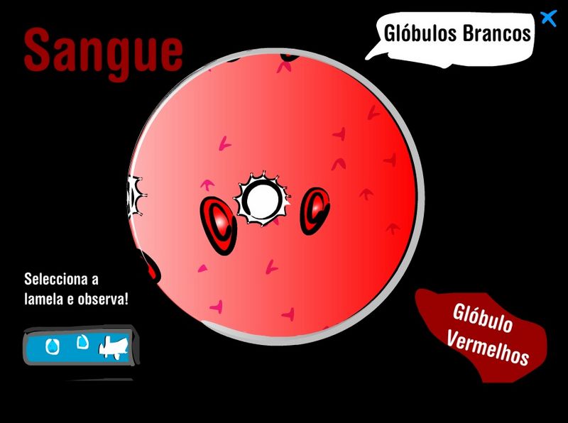 Ficheiro:Microscopio aberto.jpg