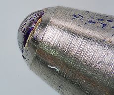 Pauloneves macro3.jpg