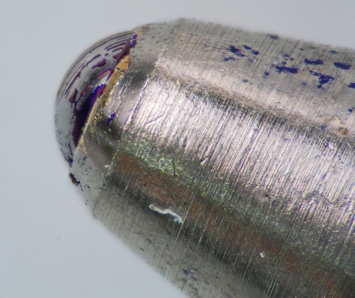 Ficheiro:Pauloneves macro3.jpg