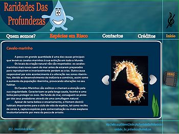 Print - Espécies em Risco Cavalo-Marinho.jpg